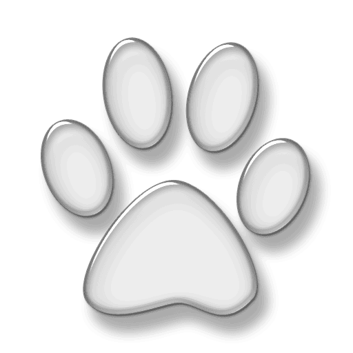 Pets